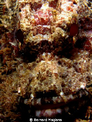 My first image of Tinoto Wall....... by Bernard Maglana 